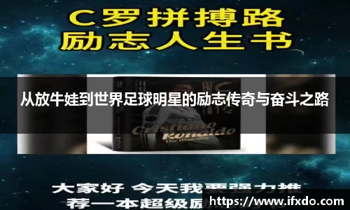 WM完美体育